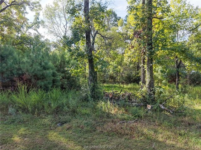 562 Magnolia Park, Other, TX 77360