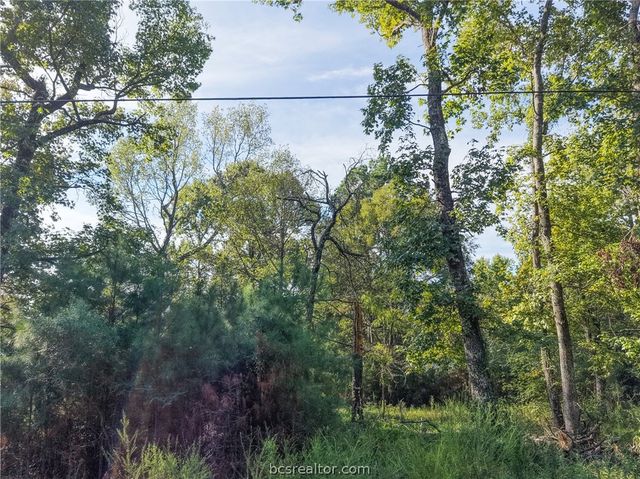 562 Magnolia Park, Other, TX 77360