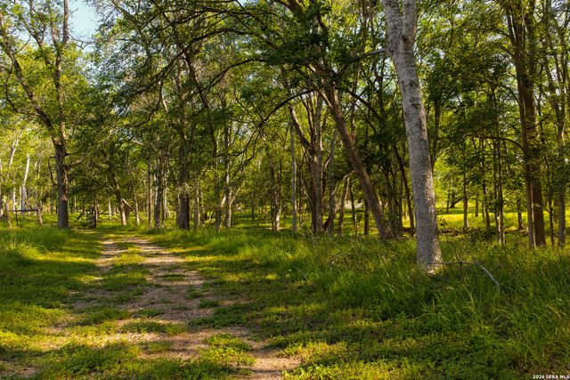 279 FERMIN LN, Seguin, TX 78155