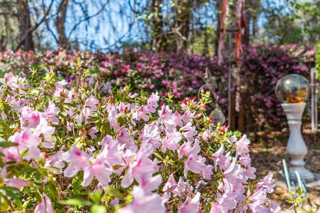 5716 Sumter Hill Lane, Tallahassee, FL 32312