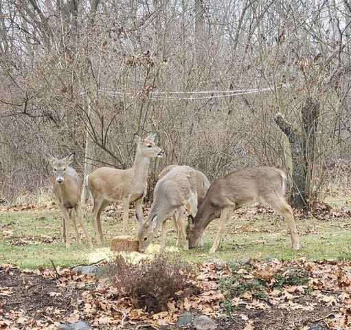 11606 Westvalley Drive, Crown Point, IN 46307