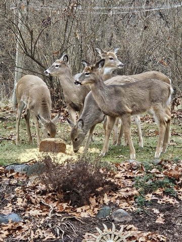 11606 Westvalley Drive, Crown Point, IN 46307