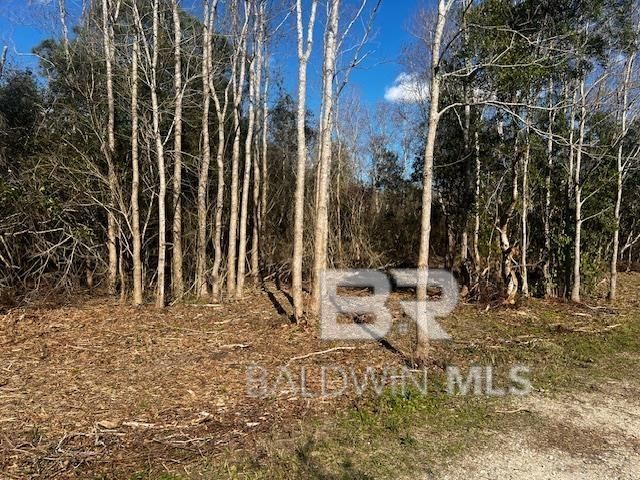 0 Bellingrath Road, Theodore, AL 36582