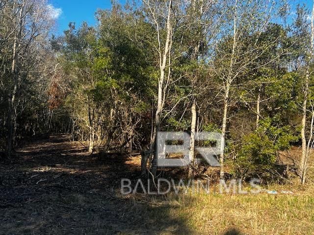 0 Bellingrath Road, Theodore, AL 36582