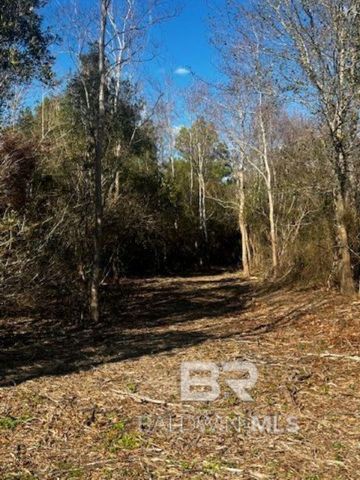 0 Bellingrath Road, Theodore, AL 36582