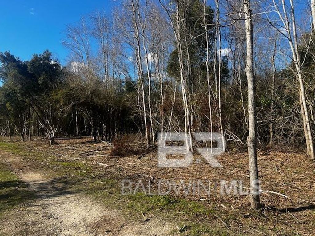 0 Bellingrath Road, Theodore, AL 36582