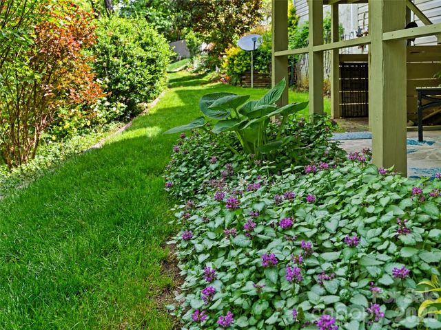 15 Baird Alley, Asheville, NC 28804