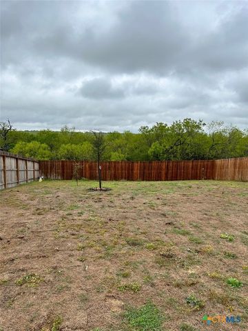 3208 Ridge Rover, Seguin, TX 78155