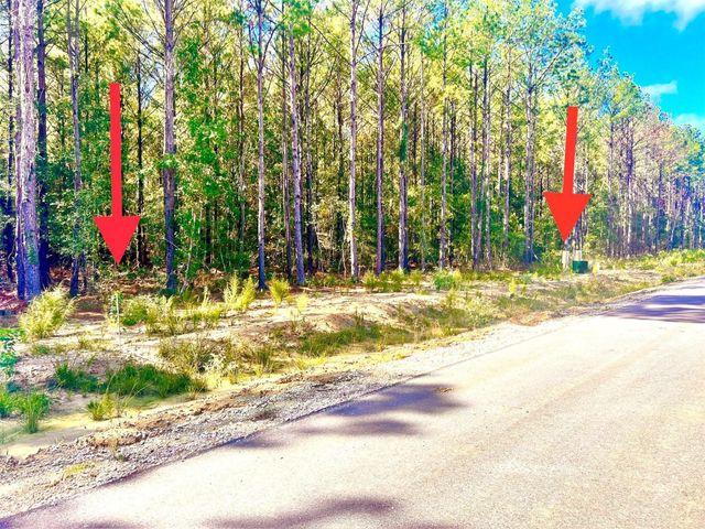 1659 Road 66115, Dayton, TX 77535