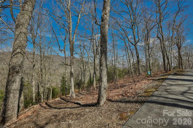 Lot 85 Waterdance Drive, Tuckasegee, NC 28783