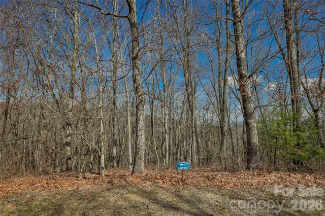Lot 85 Waterdance Drive, Tuckasegee, NC 28783