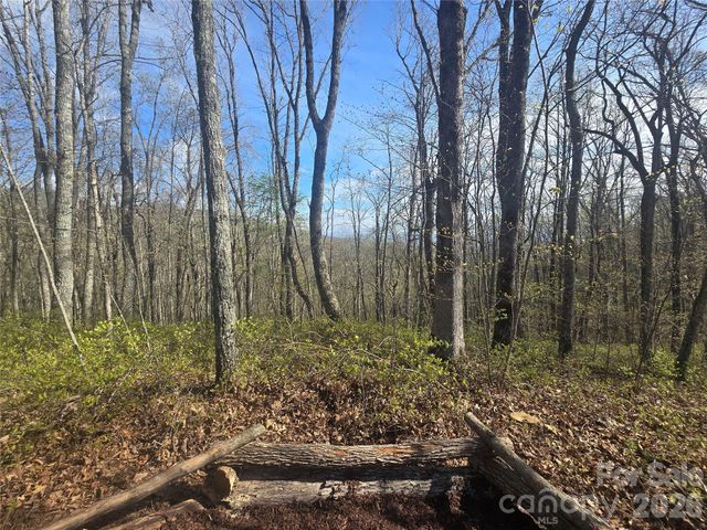 Lot 85 Waterdance Drive, Tuckasegee, NC 28783