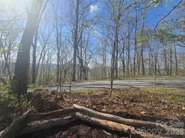 Lot 85 Waterdance Drive, Tuckasegee, NC 28783