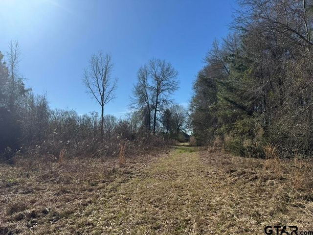 0 Timberridge Ln, Whitehouse, TX 75791