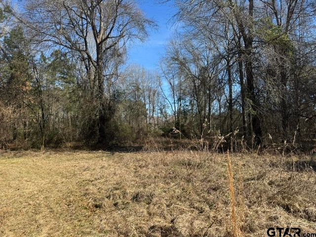 0 Timberridge Ln, Whitehouse, TX 75791
