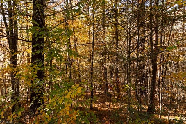 000 Antler Drive, Mcgrady, NC 28649