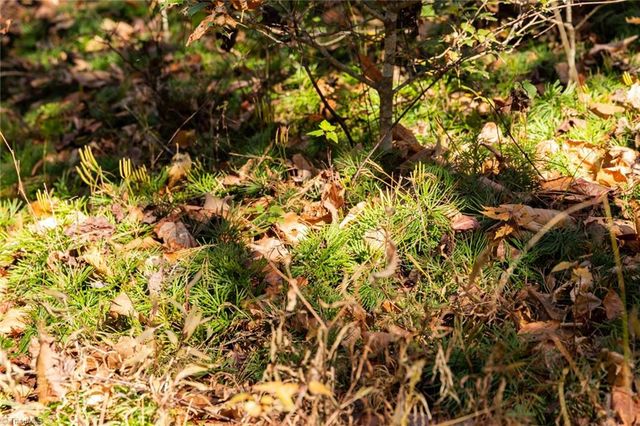 000 Antler Drive, Mcgrady, NC 28649