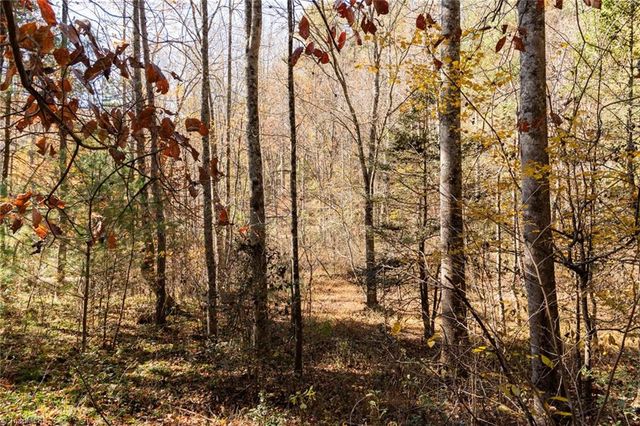 000 Antler Drive, Mcgrady, NC 28649