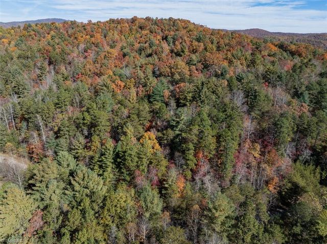 000 Antler Drive, Mcgrady, NC 28649