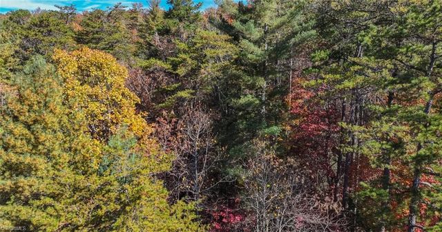 000 Antler Drive, Mcgrady, NC 28649