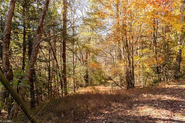 000 Antler Drive, Mcgrady, NC 28649