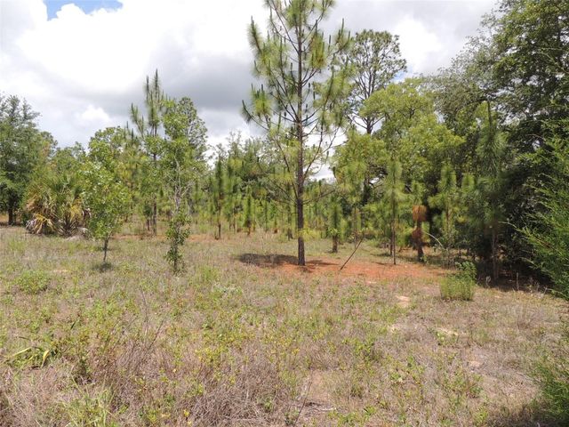 11351 SE 32ND PLACE, Morriston, FL 32668