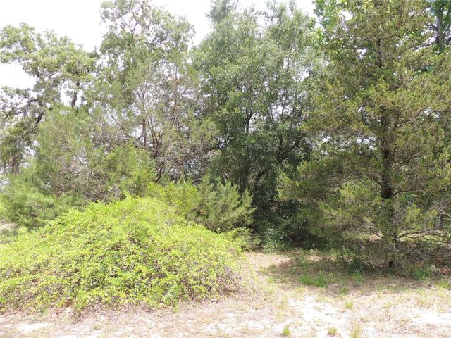 11351 SE 32ND PLACE, Morriston, FL 32668