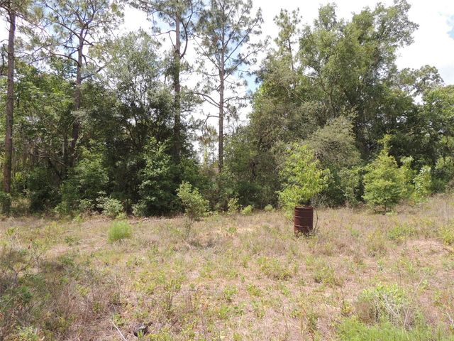 11351 SE 32ND PLACE, Morriston, FL 32668