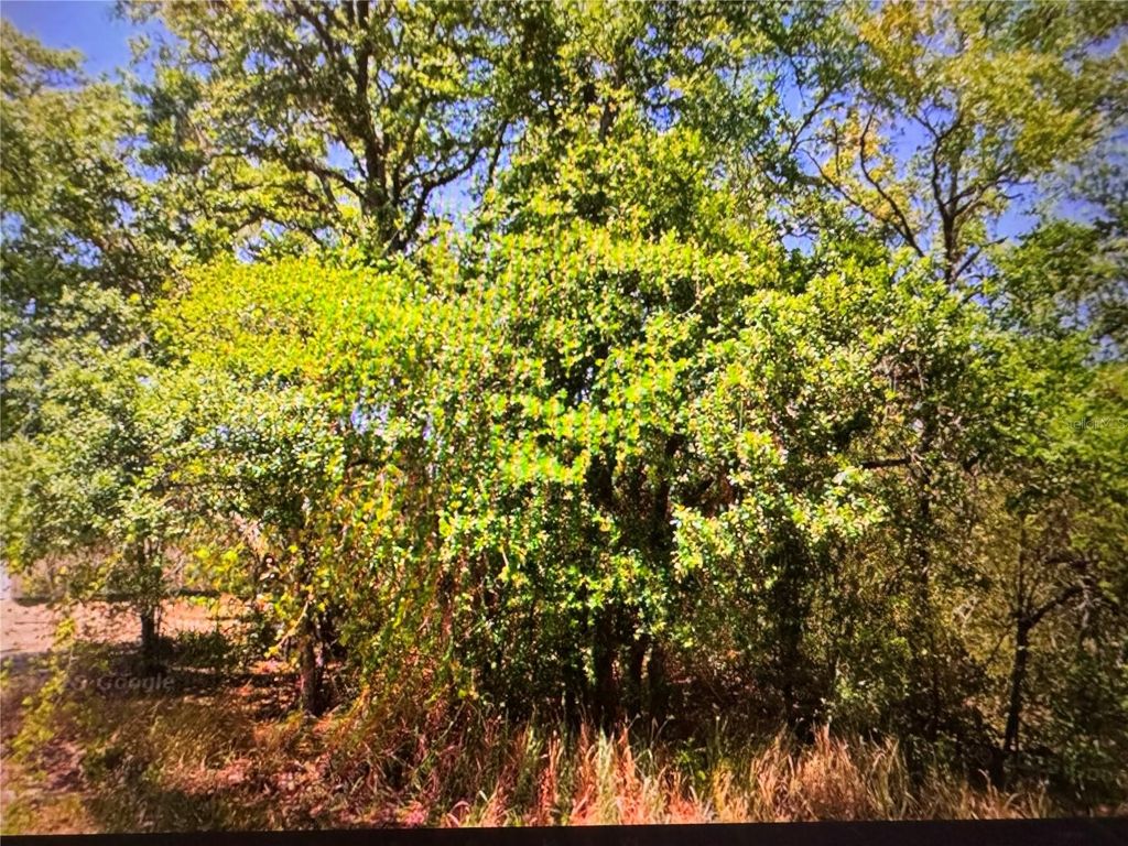 252 LOCUST LANE, Ocala, FL 34472