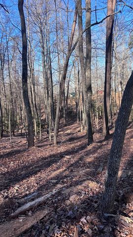 Lot 74 Bice Lane, Blue Ridge, GA 30513