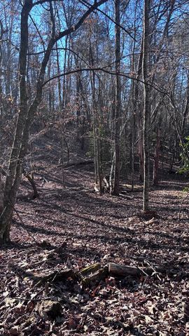 Lot 74 Bice Lane, Blue Ridge, GA 30513