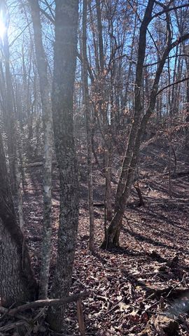 Lot 74 Bice Lane, Blue Ridge, GA 30513