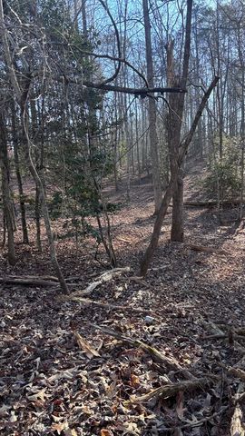 Lot 74 Bice Lane, Blue Ridge, GA 30513