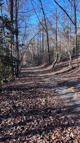 Lot 74 Bice Lane, Blue Ridge, GA 30513