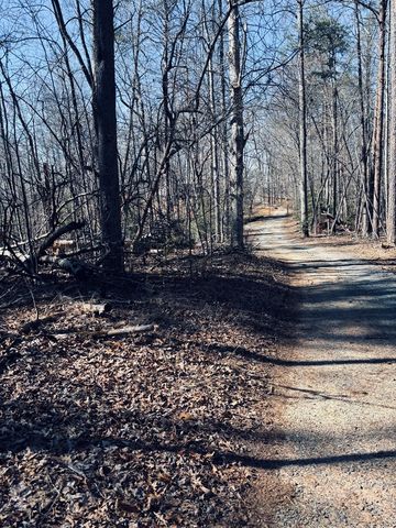 Lot 74 Bice Lane, Blue Ridge, GA 30513