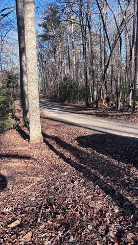 Lot 74 Bice Lane, Blue Ridge, GA 30513