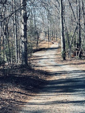 Lot 74 Bice Lane, Blue Ridge, GA 30513