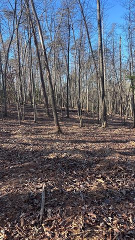 Lot 74 Bice Lane, Blue Ridge, GA 30513