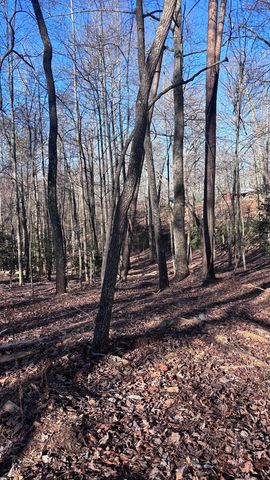 Lot 74 Bice Lane, Blue Ridge, GA 30513