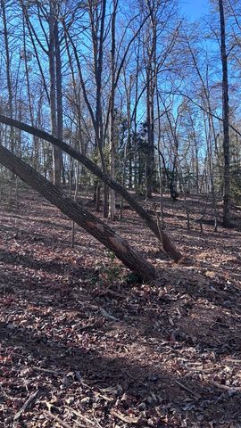 Lot 74 Bice Lane, Blue Ridge, GA 30513