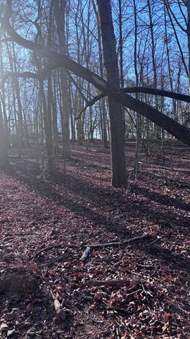 Lot 74 Bice Lane, Blue Ridge, GA 30513