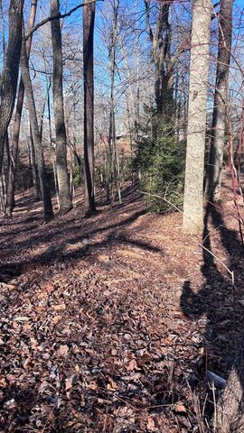 Lot 74 Bice Lane, Blue Ridge, GA 30513