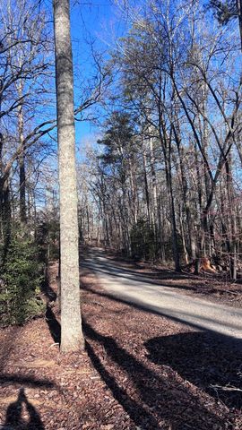 Lot 74 Bice Lane, Blue Ridge, GA 30513