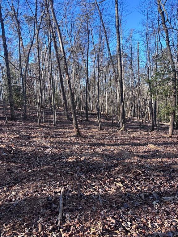 Lot 74 Bice Lane, Blue Ridge, GA 30513