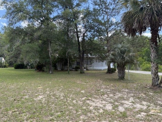 3046 E Squirrel Court, Inverness, FL 34452