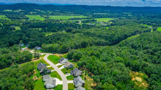 7532 Peytons Rise Way, Georgetown, TN 37336