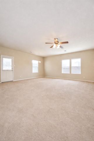 8238 Almera Falls Drive, Cypress, TX 77433