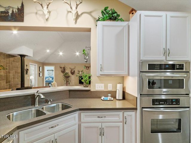 309 Roan Springs Lane, Roan Mountain, TN 37687