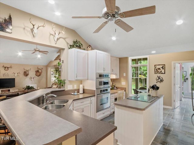 309 Roan Springs Lane, Roan Mountain, TN 37687