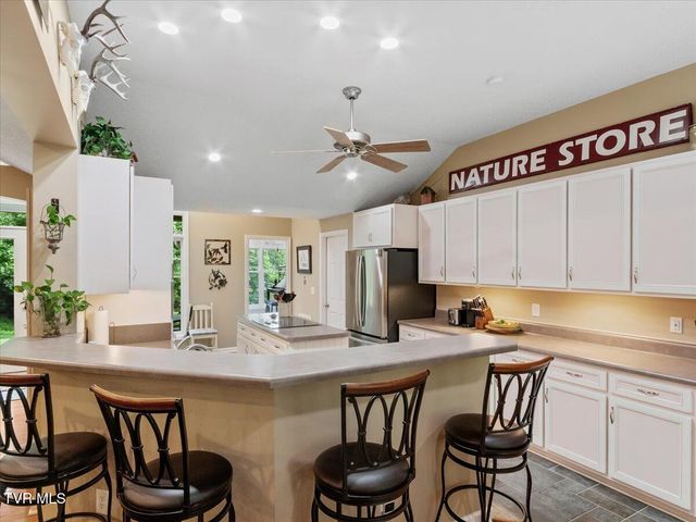 309 Roan Springs Lane, Roan Mountain, TN 37687